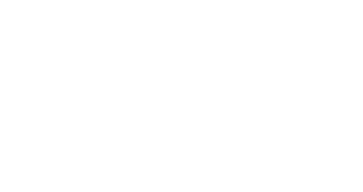 Webotico Studio